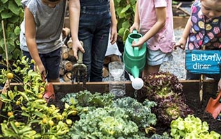 Kids planting veges