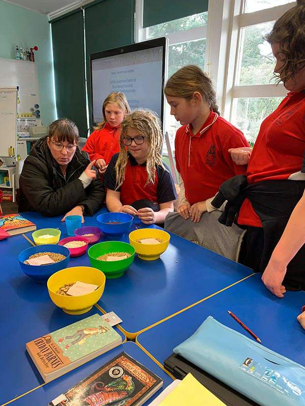 Inside a classroom at Linton Primary School