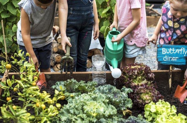 Kids planting veges